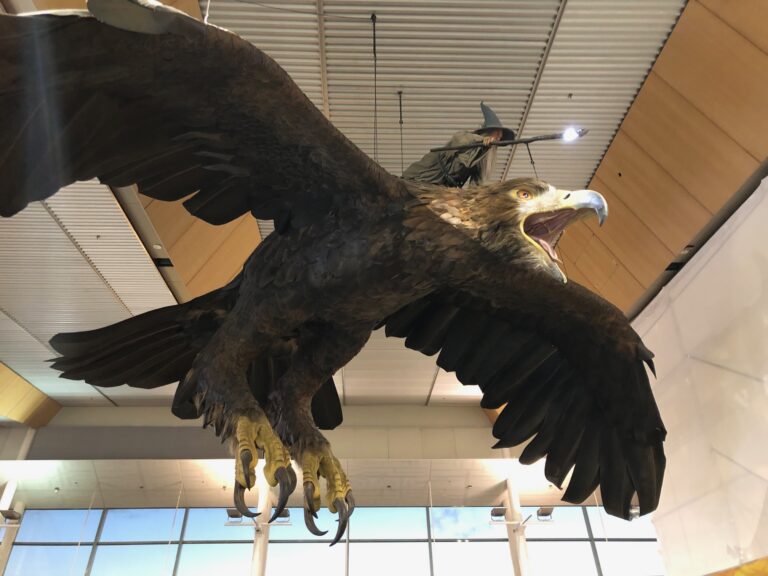 A sculpture of Gandalf riding a giant eagle at Wellington Airport