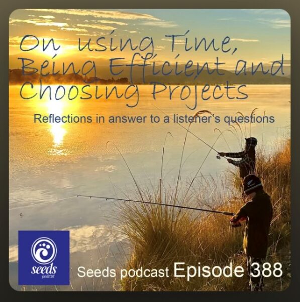 On using time well, being efficient and choosing projects - Seeds