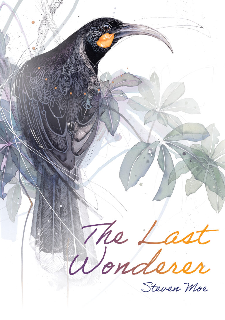 Cover of The Last Wonderer