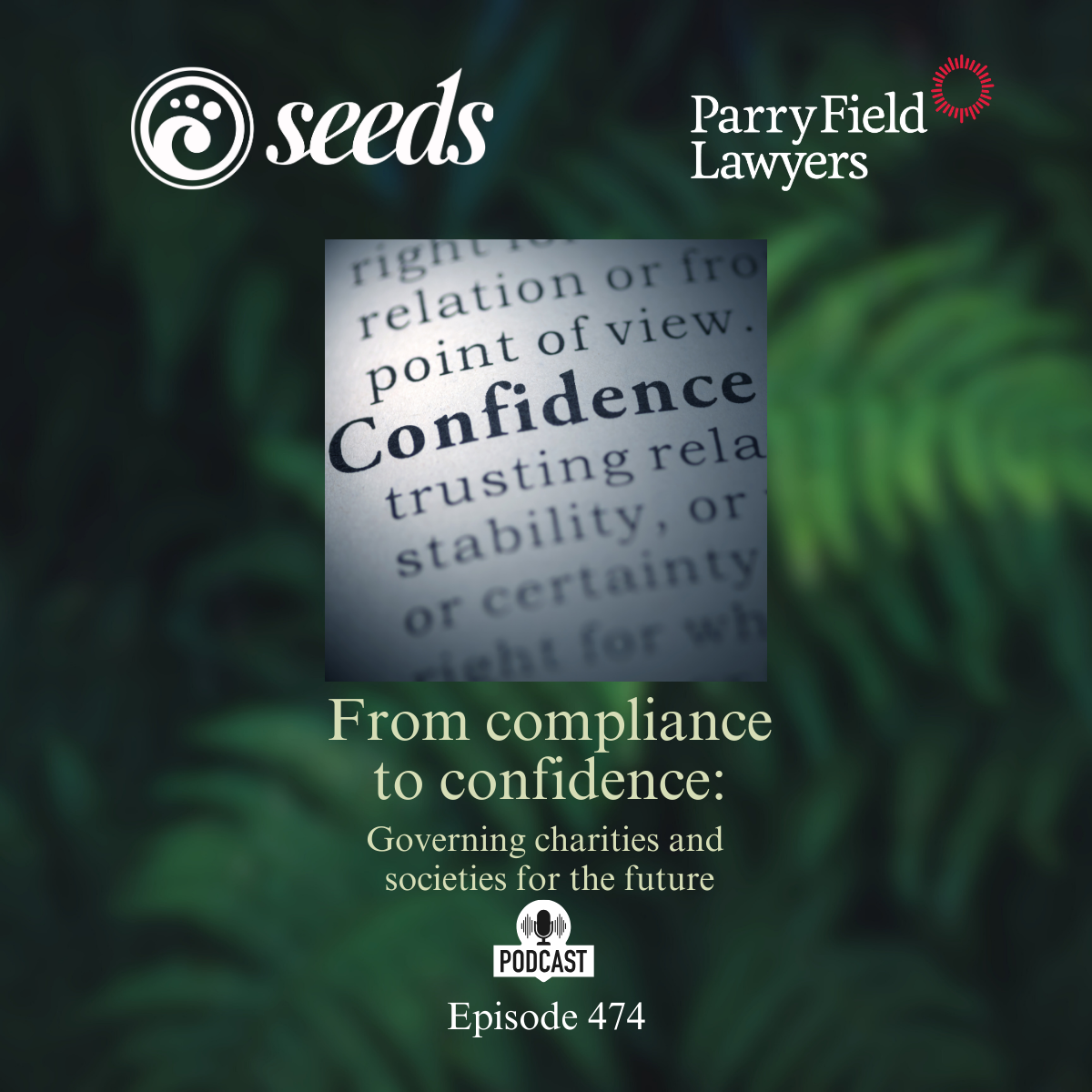 Governance discussion with Judene Edgar: From Compliance to Confidence